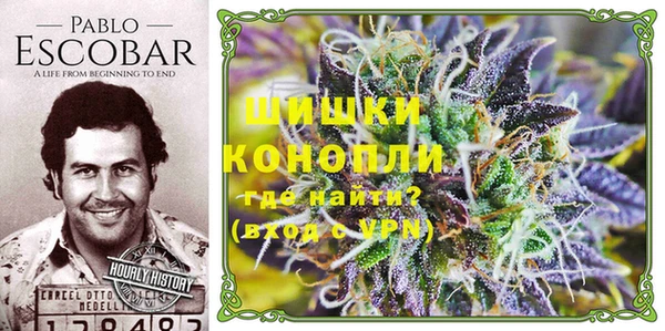 гашик Абинск