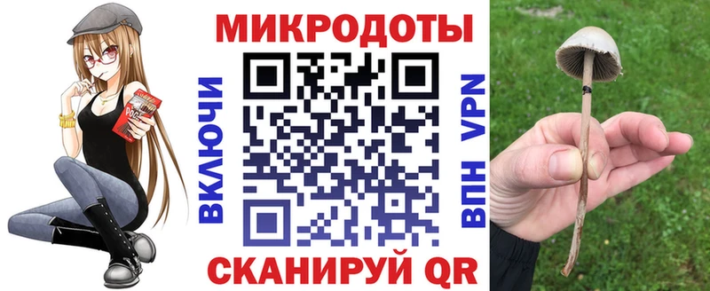 Псилоцибиновые грибы MAGIC MUSHROOMS  что такое   Янаул 